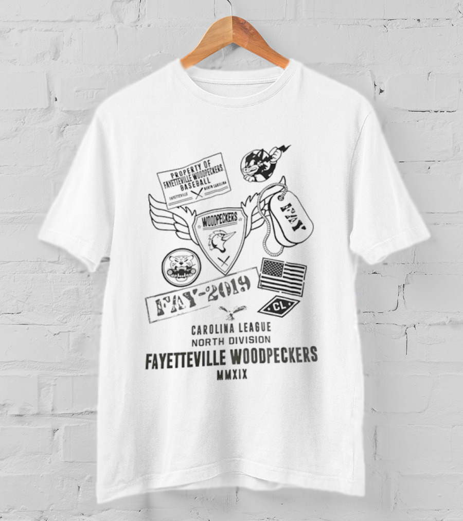 Fayetteville Woodpeckers Property Of Baseball Carolina League North Division 2019 MNXIX FAY T-Shirt