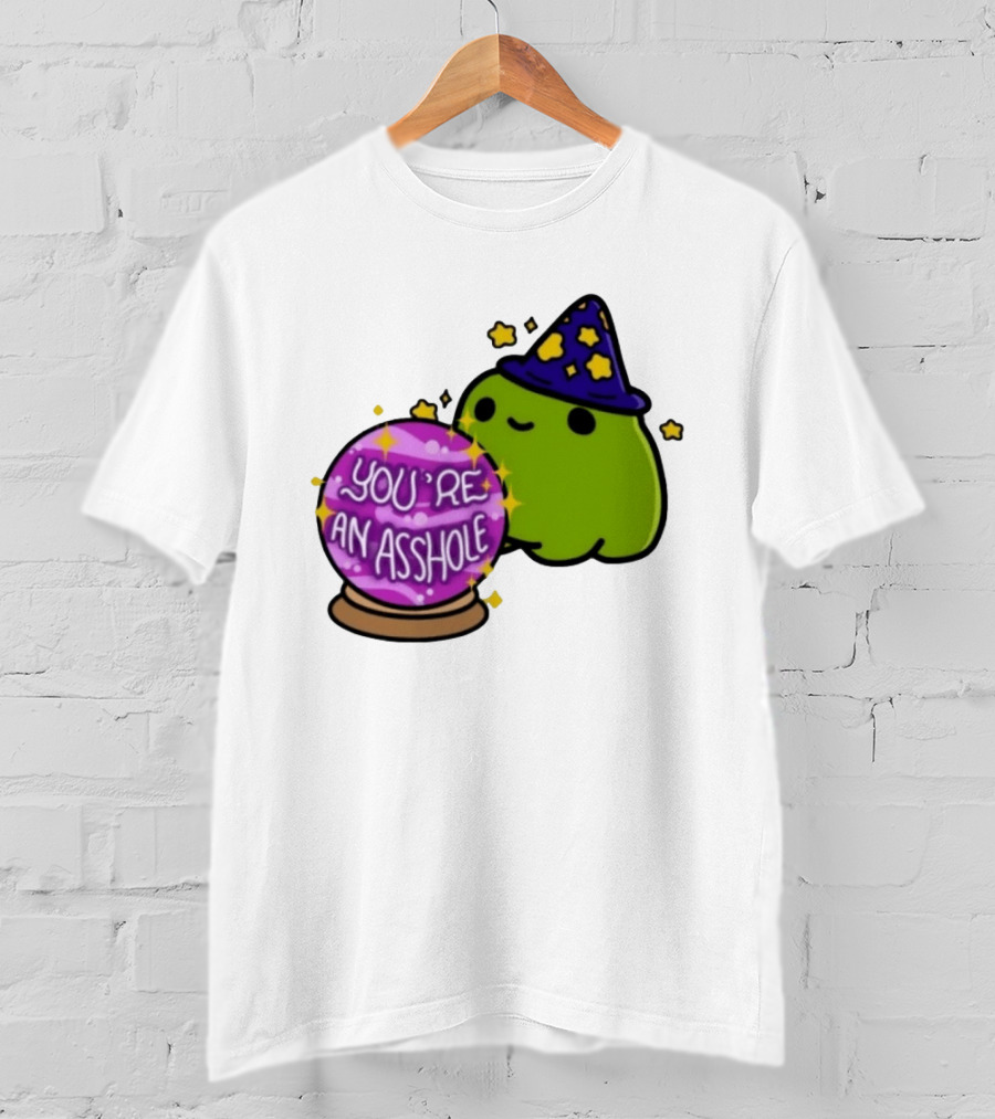 Frog Wizard Starry Hat Crystal Ball You're An Asshole T-Shirt