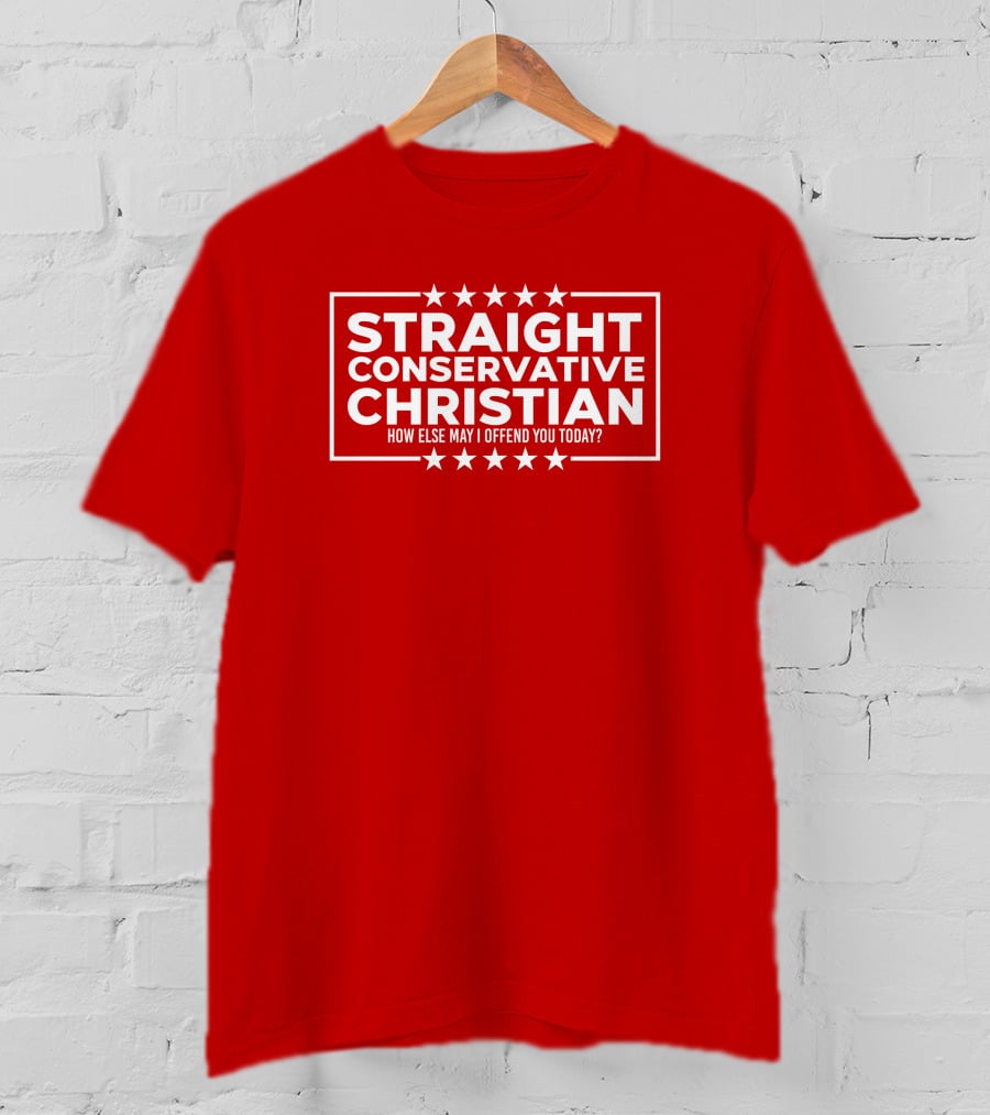 Hodgetwins Store Straight Conservative Christian How Else May I Offend You Today T-Shirt
