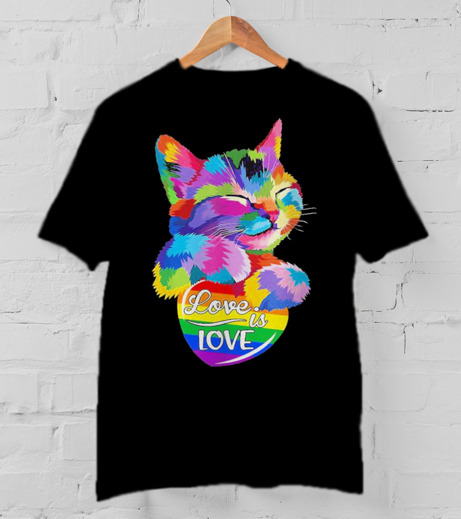 Love Is Love Colorful Cat Rainbow Pride T-Shirt