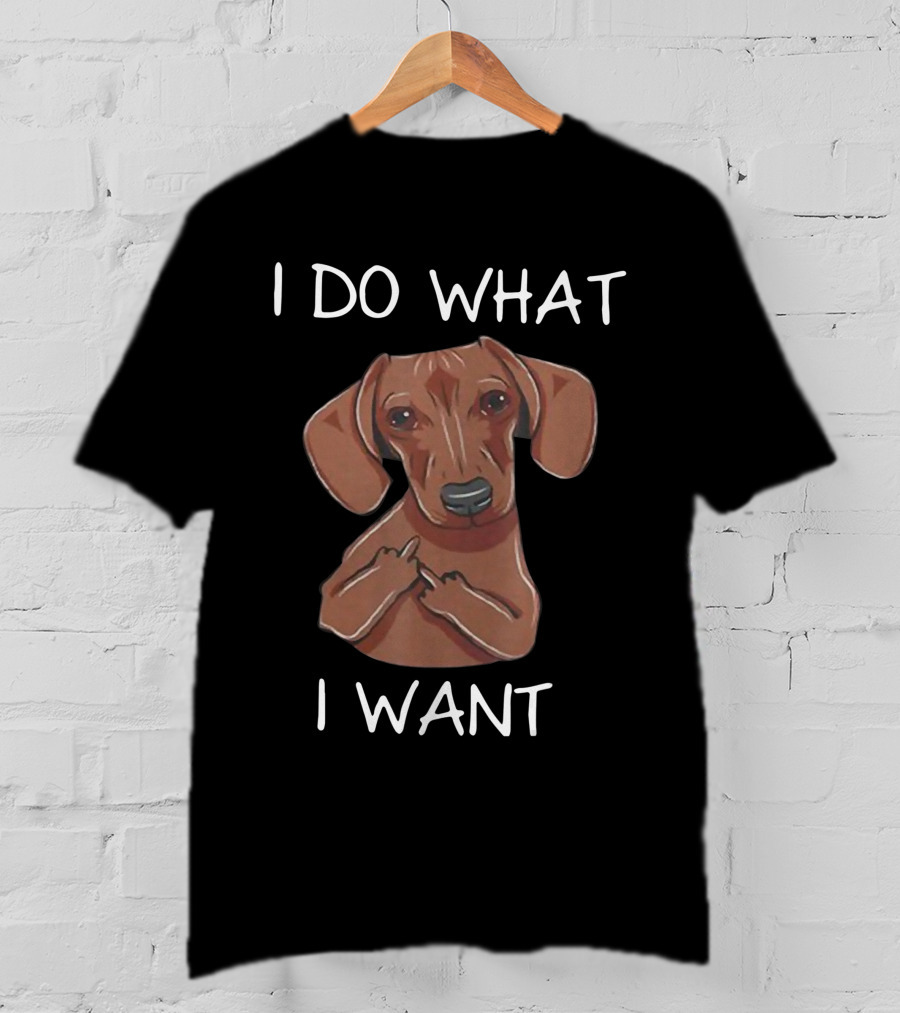 Dachshund I Do What I Want Funny Dachshund I Want T-Shirt