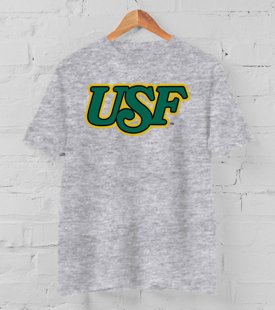 Homefield Apparel Store USF Vintage 1980s USF Logo Gray T-Shirt