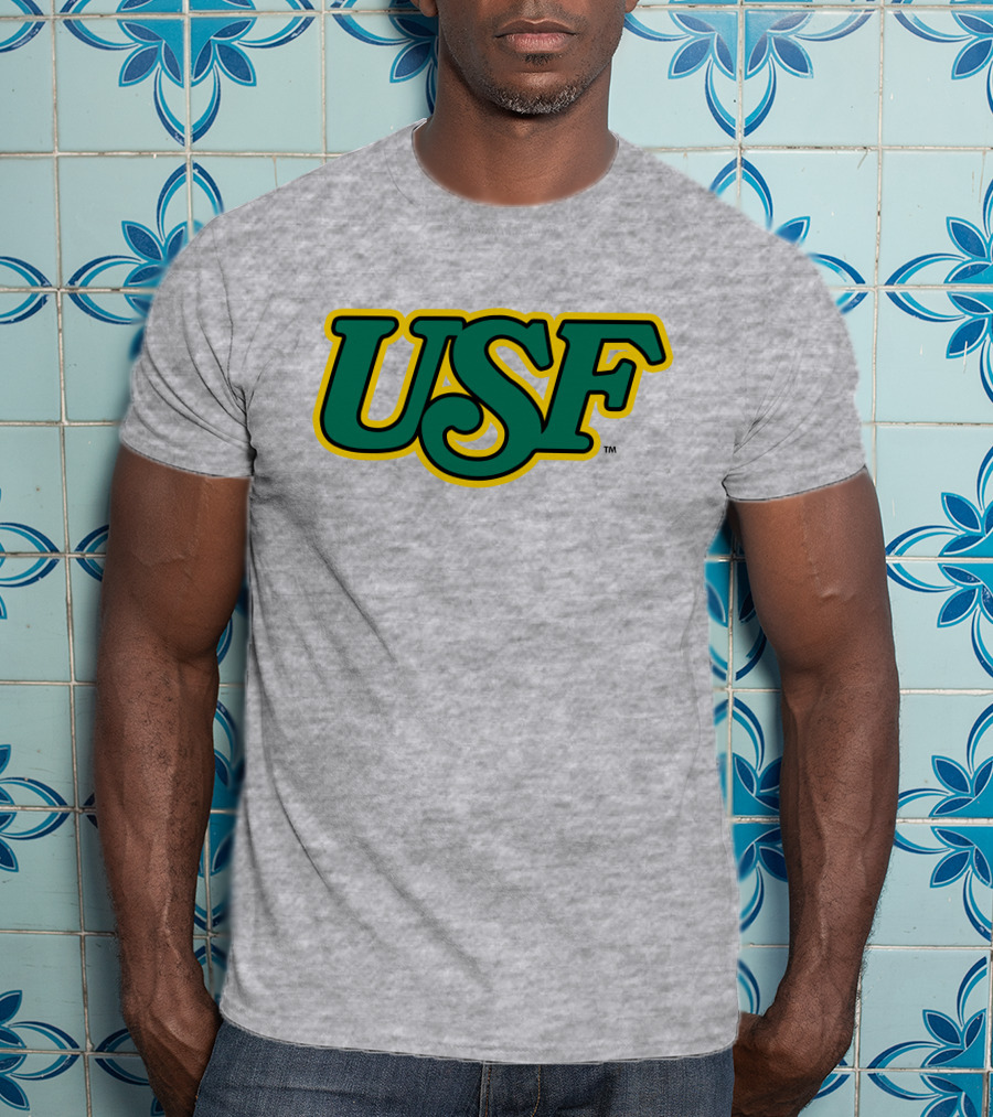 Homefield Apparel Store USF Vintage 1980s USF Logo Gray T-Shirt