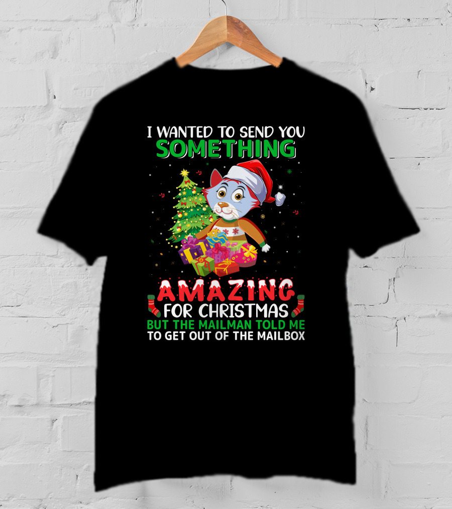 I Wanted To Send You Something Amazing For Christmas But The Mailman Told Me To Get Out Of The Mailbox T-Shirt