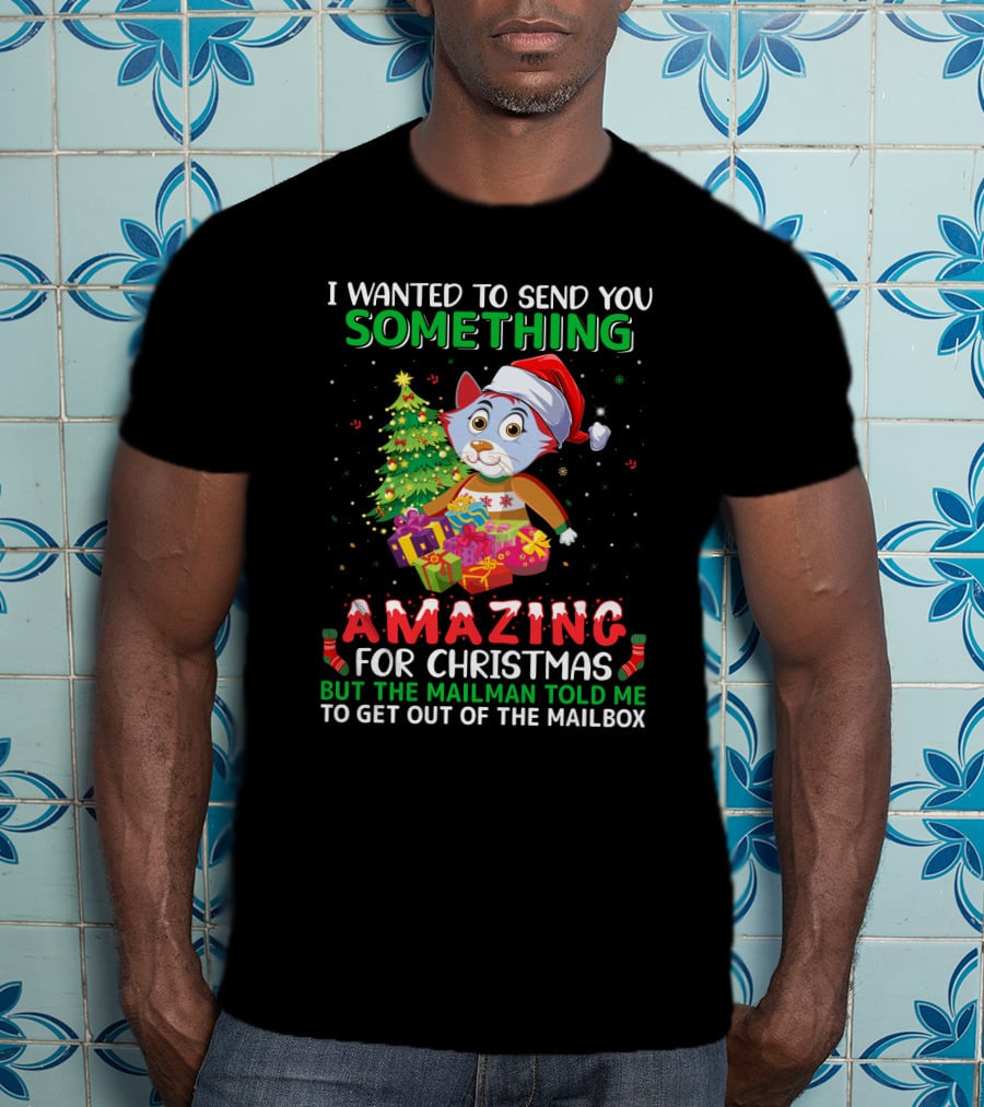I Wanted To Send You Something Amazing For Christmas But The Mailman Told Me To Get Out Of The Mailbox T-Shirt