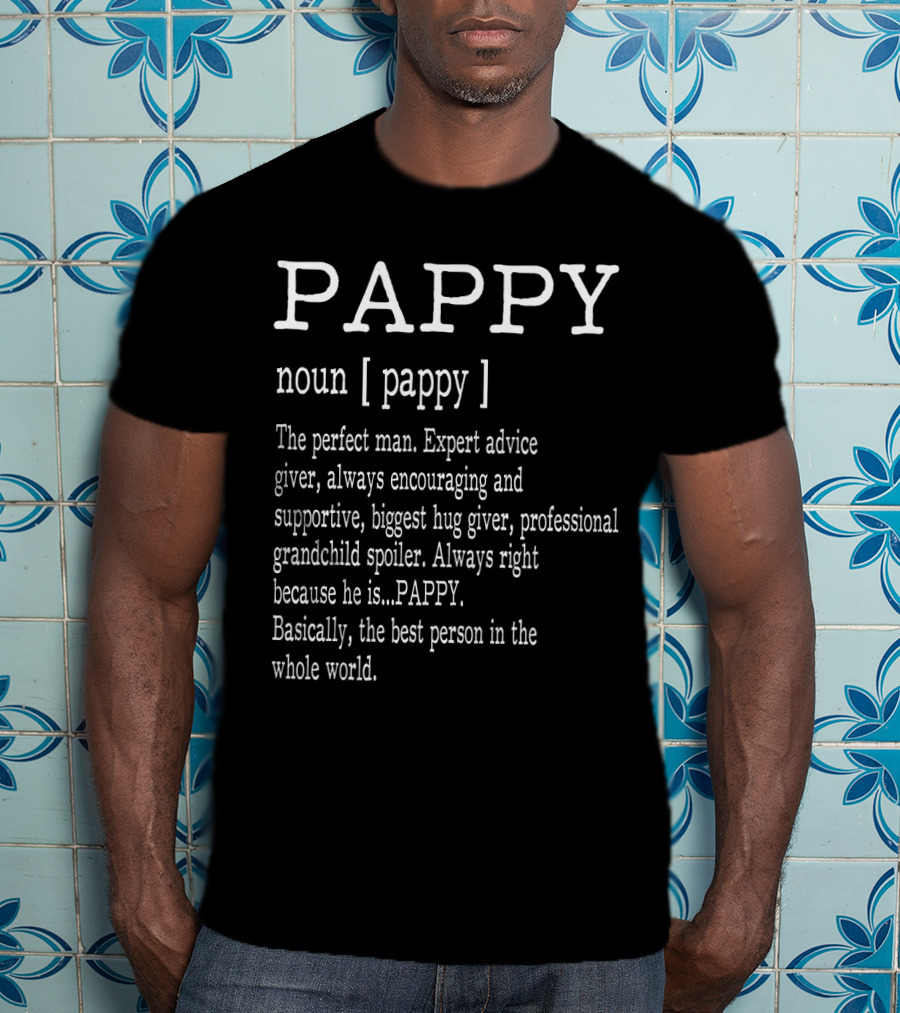 Pappy Noun Definition The Perfect Expert Advice Giver Encouraging Spoiler Hug Giver Best Person T-Shirt