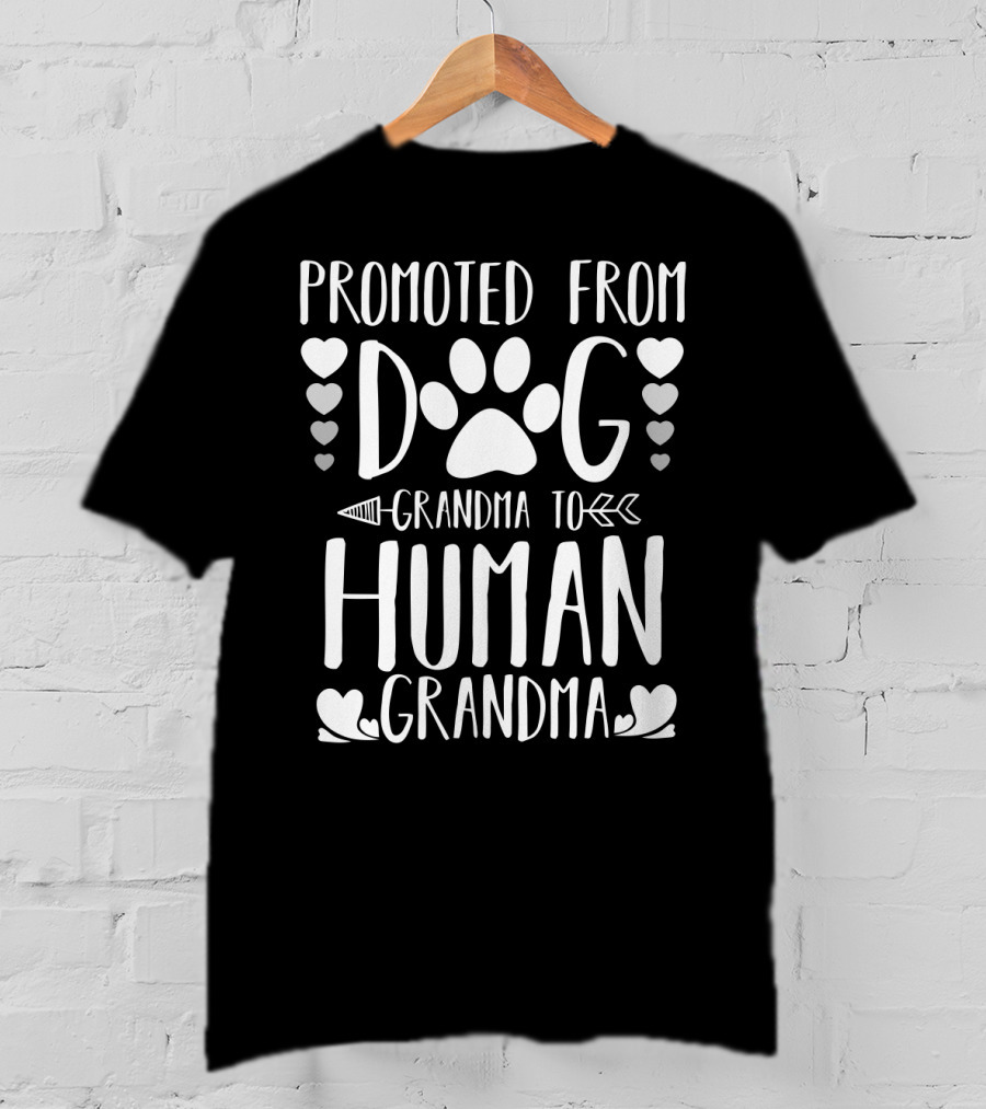 Promoted From Dog Grandma To Human Grandma Paw Heart Arrow T-Shirt