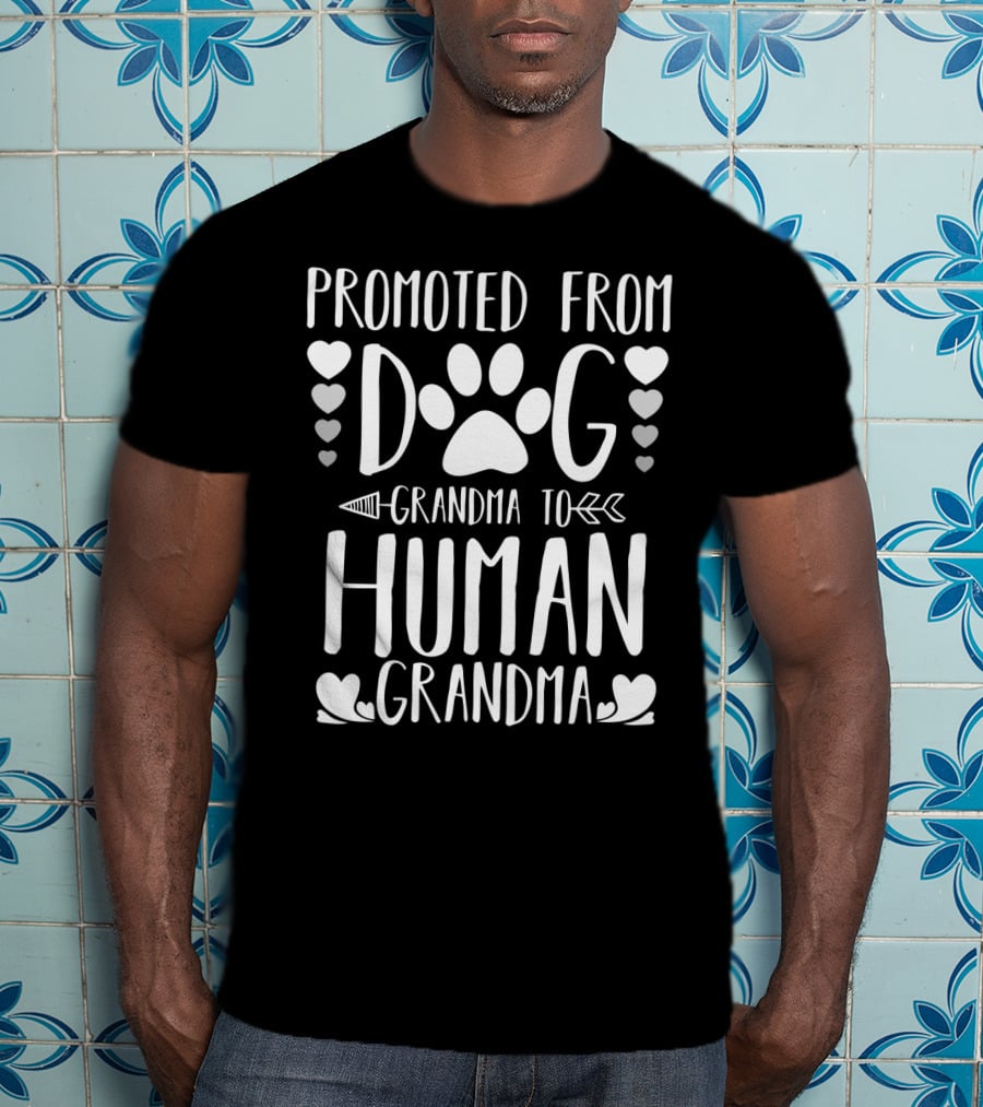 Promoted From Dog Grandma To Human Grandma Paw Heart Arrow T-Shirt