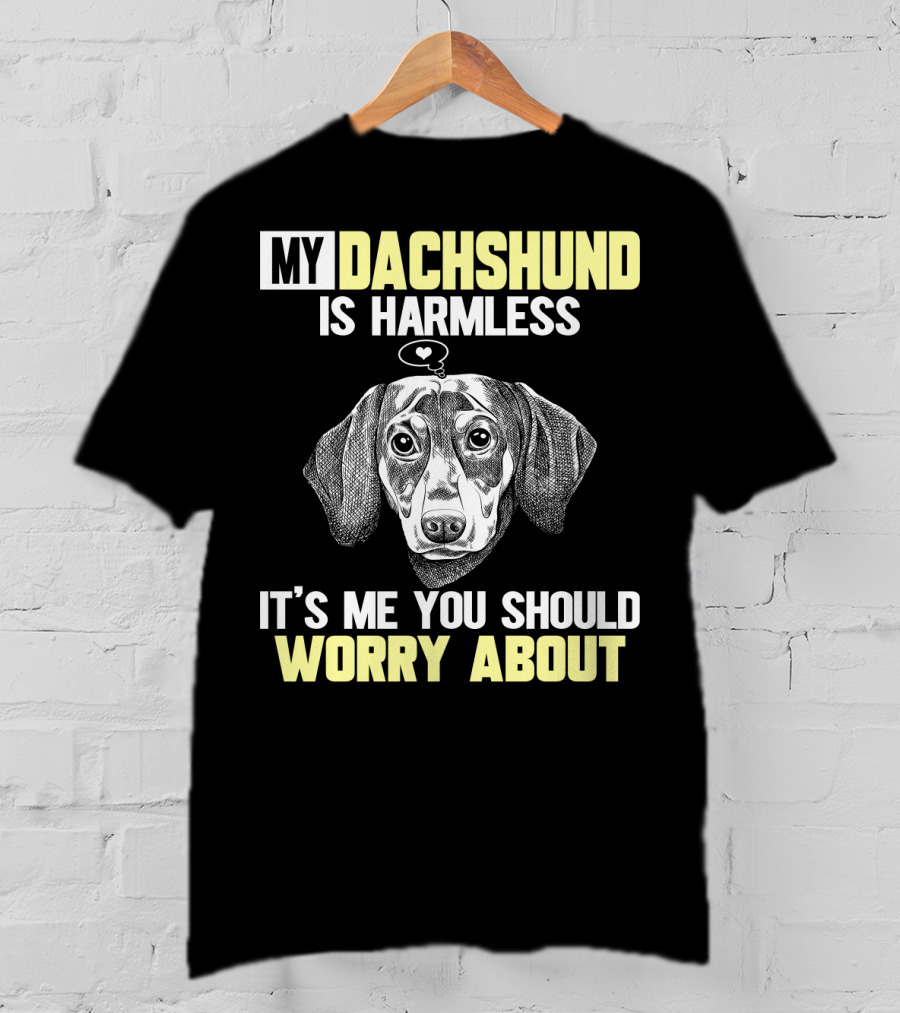 My Dachshund Is Harmless It's ME You Should Worry About T-Shirt