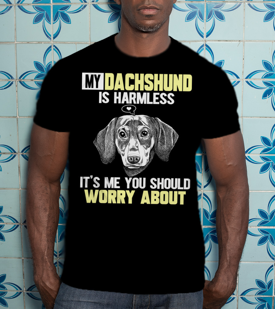 My Dachshund Is Harmless It's ME You Should Worry About T-Shirt