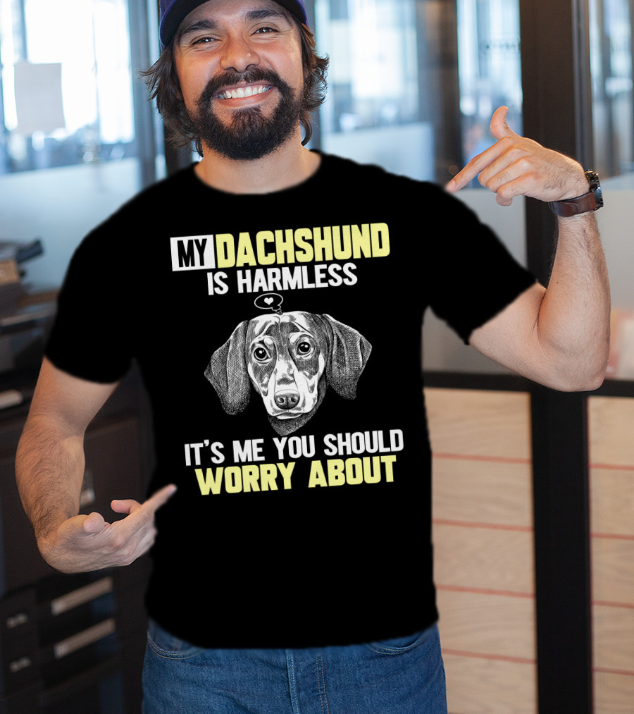 My Dachshund Is Harmless It's ME You Should Worry About T-Shirt