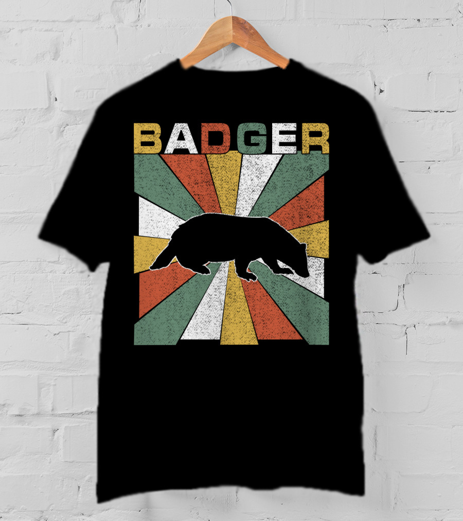 BADGER Vintage 70s Silhouette With Colorful Retro Stripes T-Shirt
