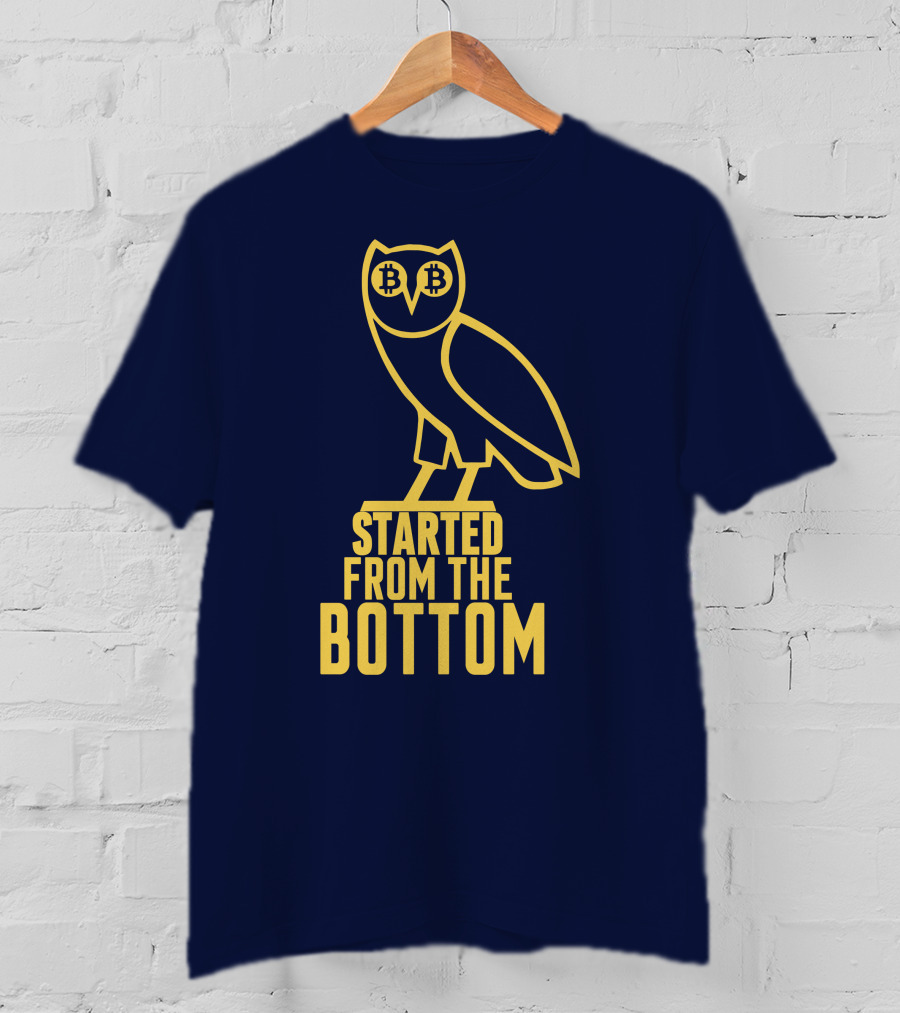 Mr Hodl Bitcoin Started From The Bottom Owl Bitcoin Eyes T-Shirt