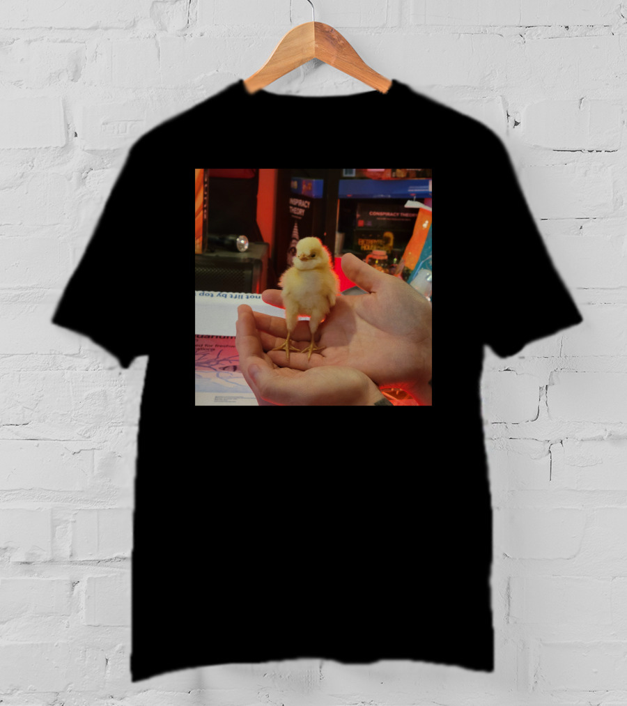 Lukewearechange Tallboi Conspiracy Theory Chick T-Shirt