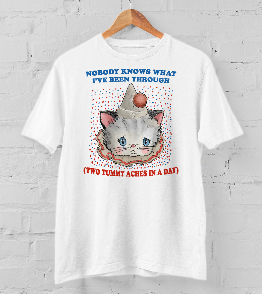 Nobody Knows What I've Been Through (Two Tummy Aches IN A Day) Cute Party Hat Cat T-Shirt