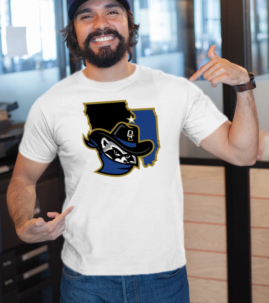 Quad Cities River Bandits Midwest League Baseball Logo 22 T-Shirt