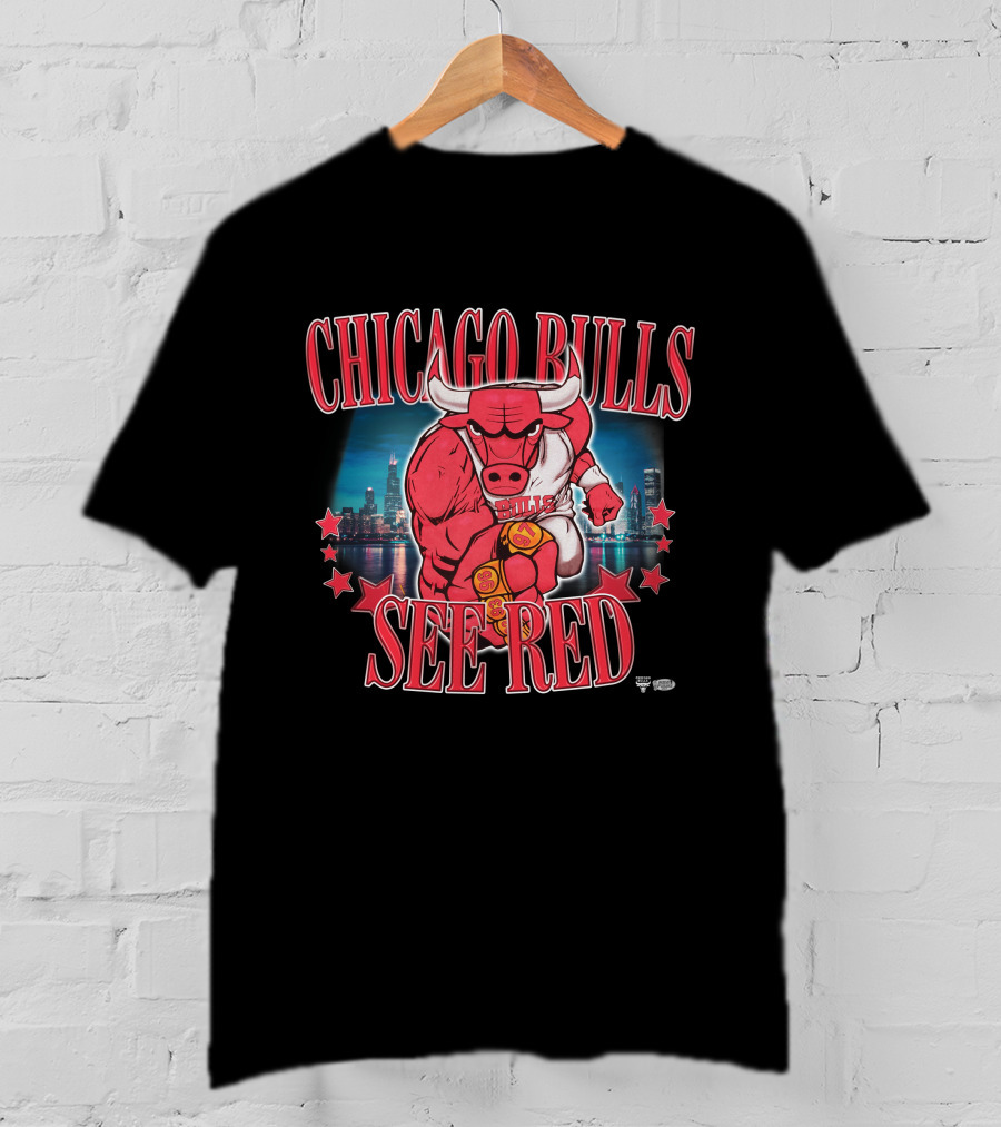 Vintage Chicago Bulls See Red 2Xtremebounce Javonte Green T-Shirt