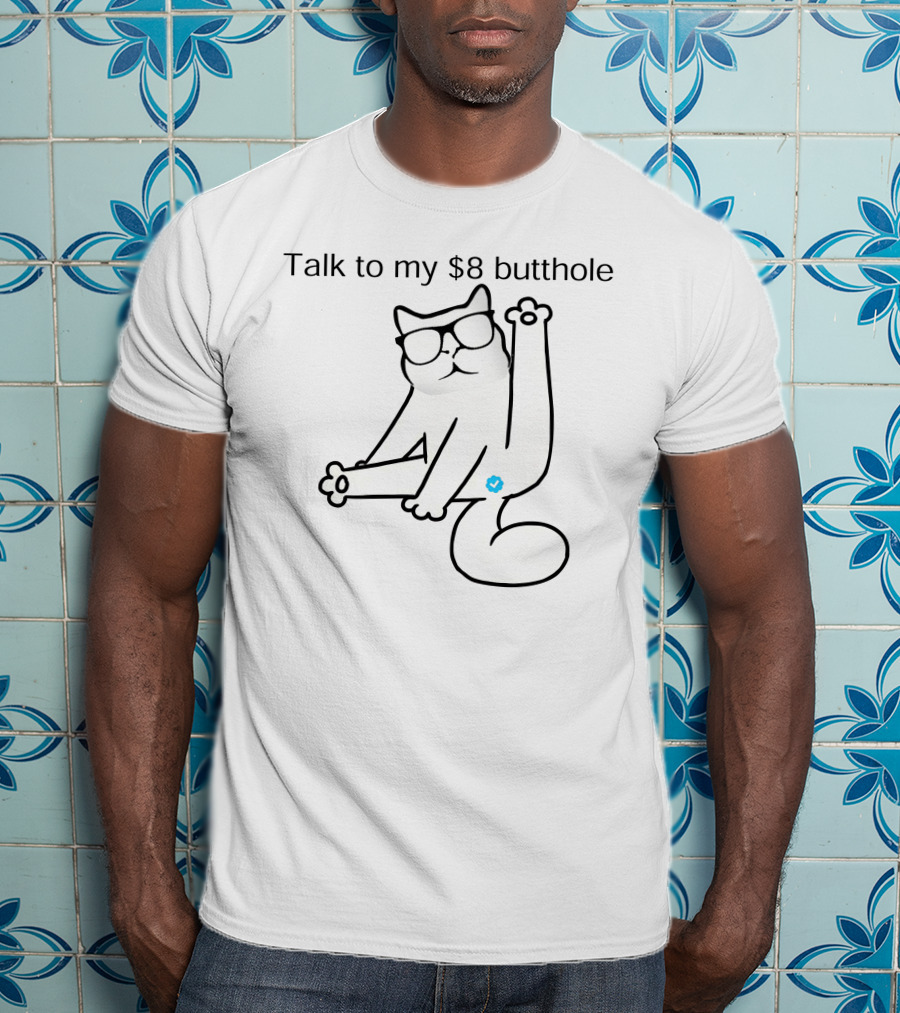 Talk To My $8 Butthole Cat Wearing Glasses Sitting Pose T-Shirt