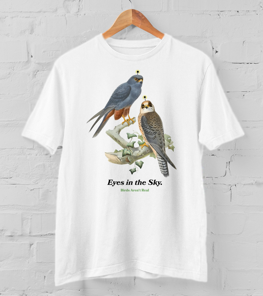 Eyes In The Sky Birds Aren't Real T-Shirt