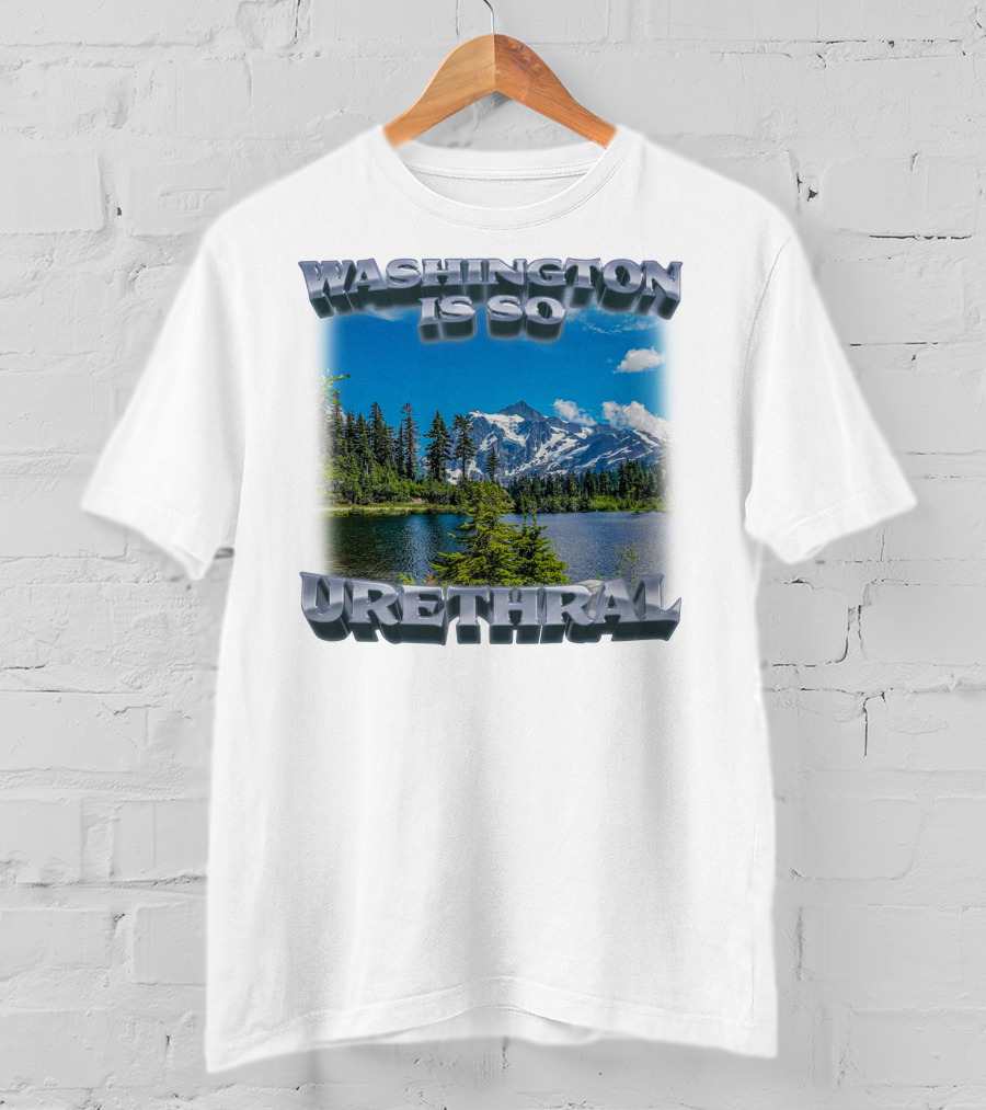 Washington Is So Urethral Nature Scenery T-Shirt