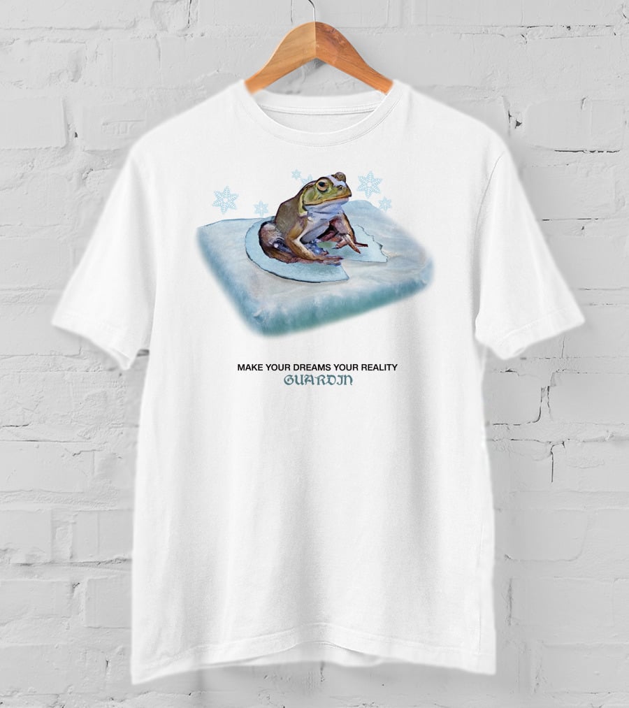 Frog Make Your Dreams Your Reality Guardin Snowflakes Pillow T-Shirt