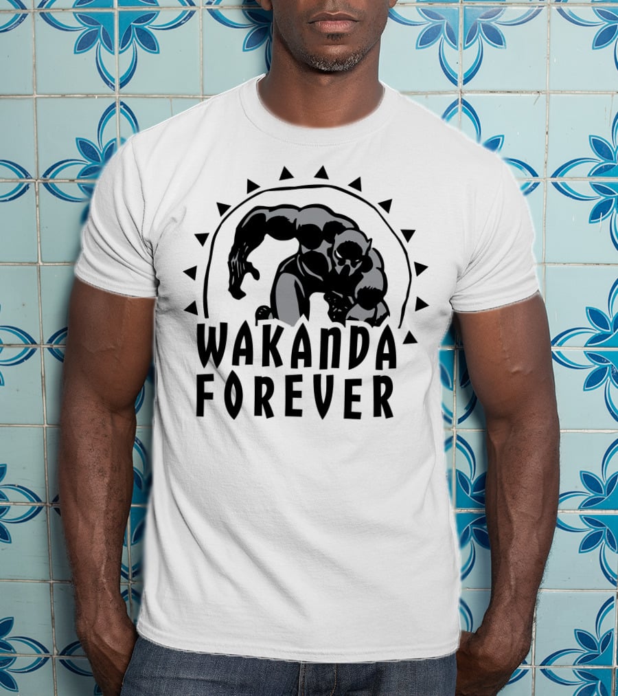 Marvel Black Panther Wakanda Forever Sun Triangles Hero Pose T-Shirt