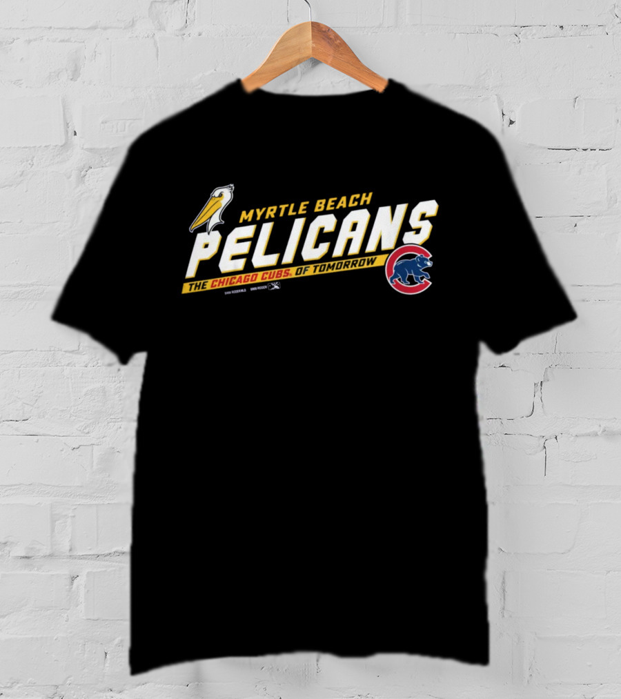 Myrtle Beach Pelicans The Chicago Cubs Of Tomorrow Bimm Ridder Youth Toddler Carolina T-Shirt