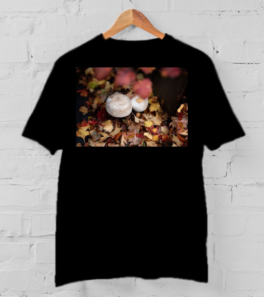 Autumn's Reward Mushrooms Amidst Fall Leaves T-Shirt