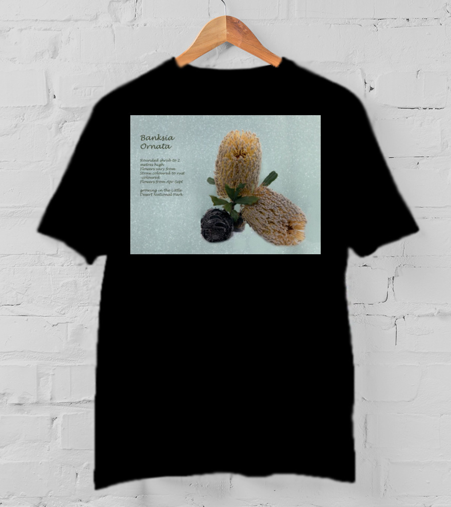 Banksia Ornata Rounded Shrubs Little Desert National Park Flowers T-Shirt