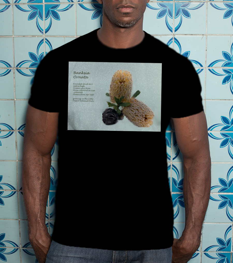 Banksia Ornata Rounded Shrubs Little Desert National Park Flowers T-Shirt
