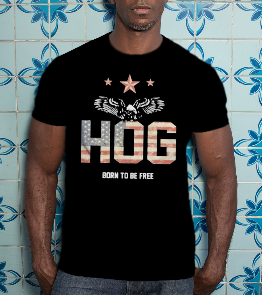Hog Born To Be Free American Flag Eagle Stars T-Shirt