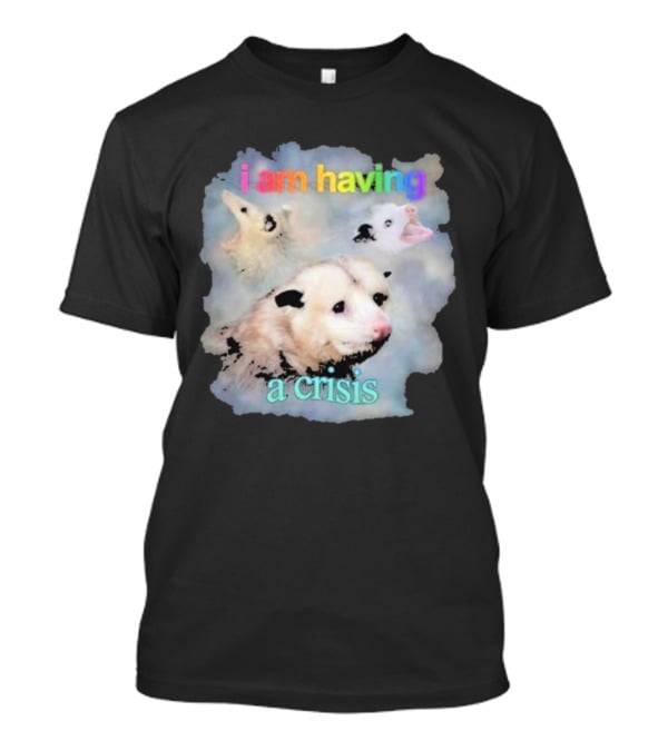 I Am Having A Crisis Possum T-Shirt