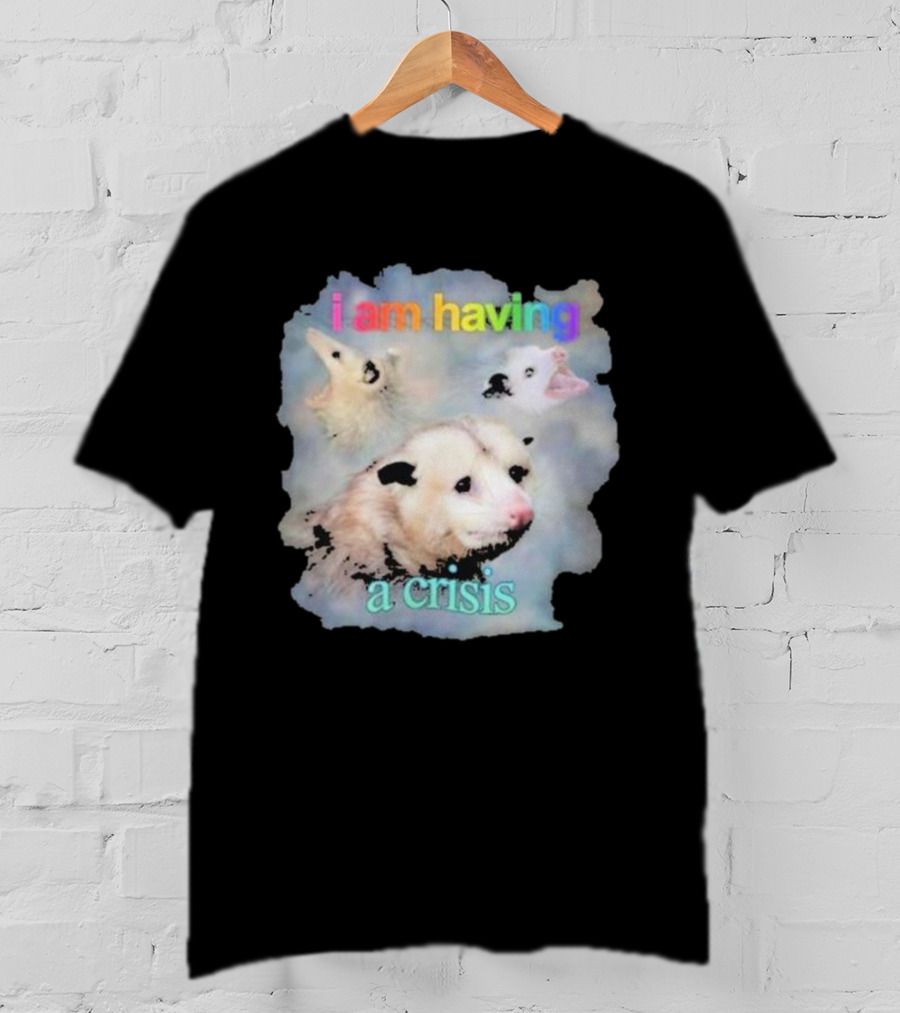 I Am Having A Crisis Possum T-Shirt