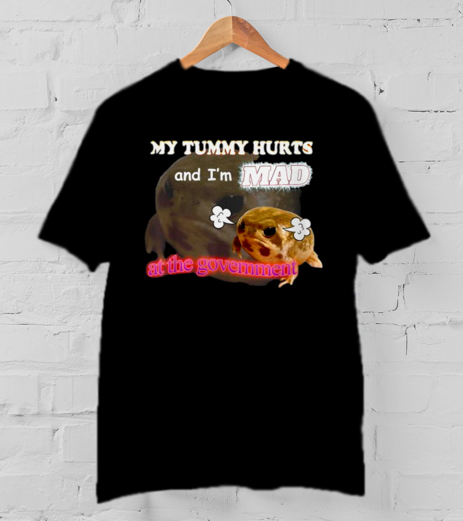 My Tummy Hurts And I'm MAD At The Government Frog Meme T-Shirt