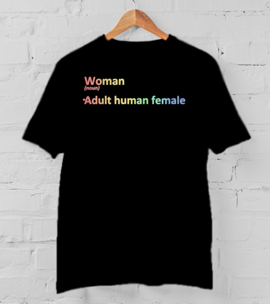 Woman Adult Human Female Noun Pride Rainbow Colors T-Shirt