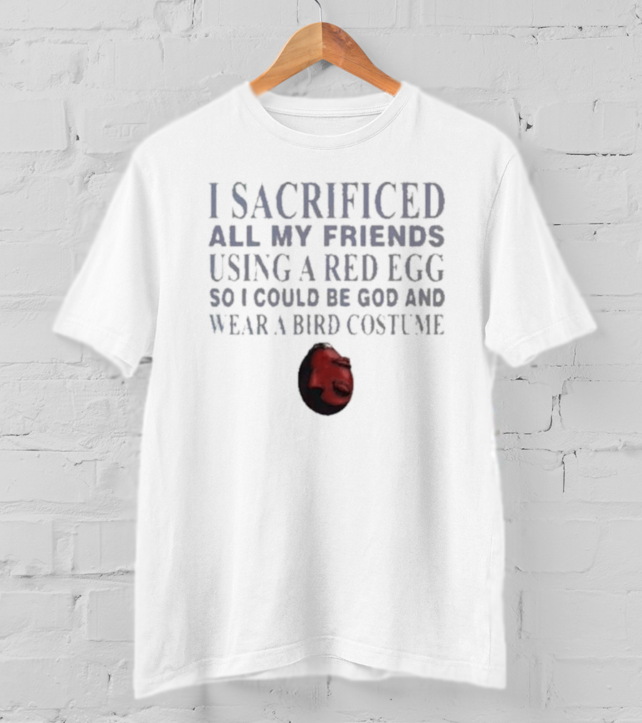I Sacrificed All My Friends Using A Red Egg So I Could Be God And Wear A Bird Costume T-Shirt