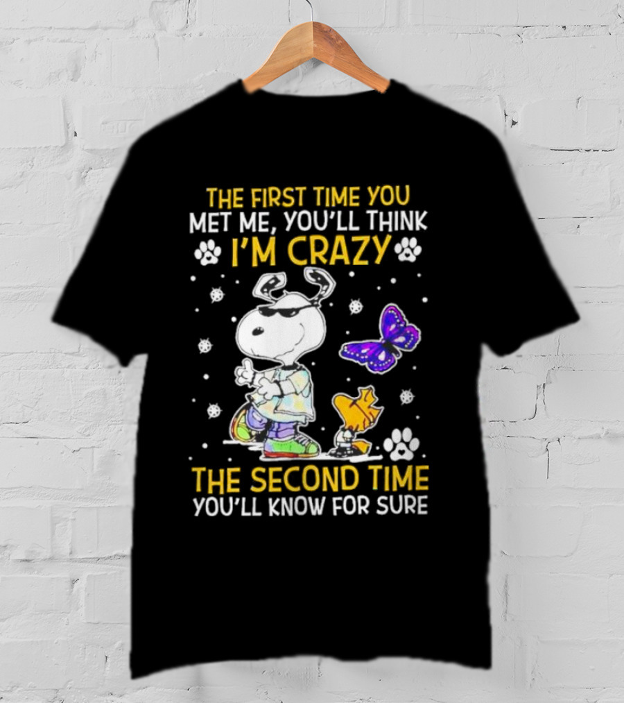 Snoopy And Woodstock The First Time You Met Me You'll Think I'm Crazy The Second Time You'll Know For Sure T-Shirt