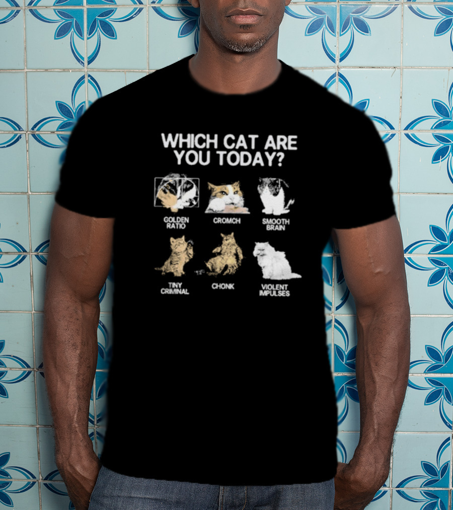 Which Cat Are You Today Golden Ratio Cromch Smooth Brain Tiny Criminal Chonk Violent Impulses T-Shirt