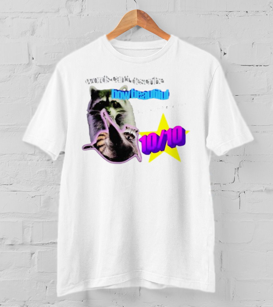 Words Can't Describe How Beautiful I Am But Numbers Can 10/10 Raccoon Star T-Shirt