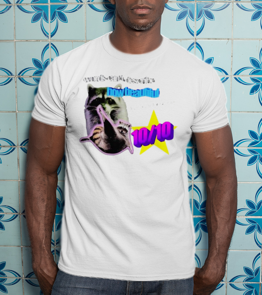 Words Can't Describe How Beautiful I Am But Numbers Can 10/10 Raccoon Star T-Shirt