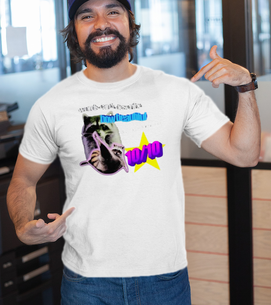 Words Can't Describe How Beautiful I Am But Numbers Can 10/10 Raccoon Star T-Shirt