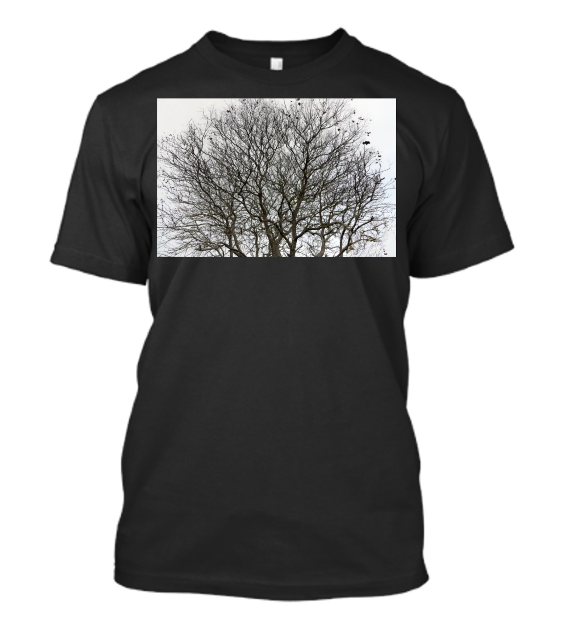 Winters Tracery Bare Tree Branches In Overcast Grey Sky T-Shirt