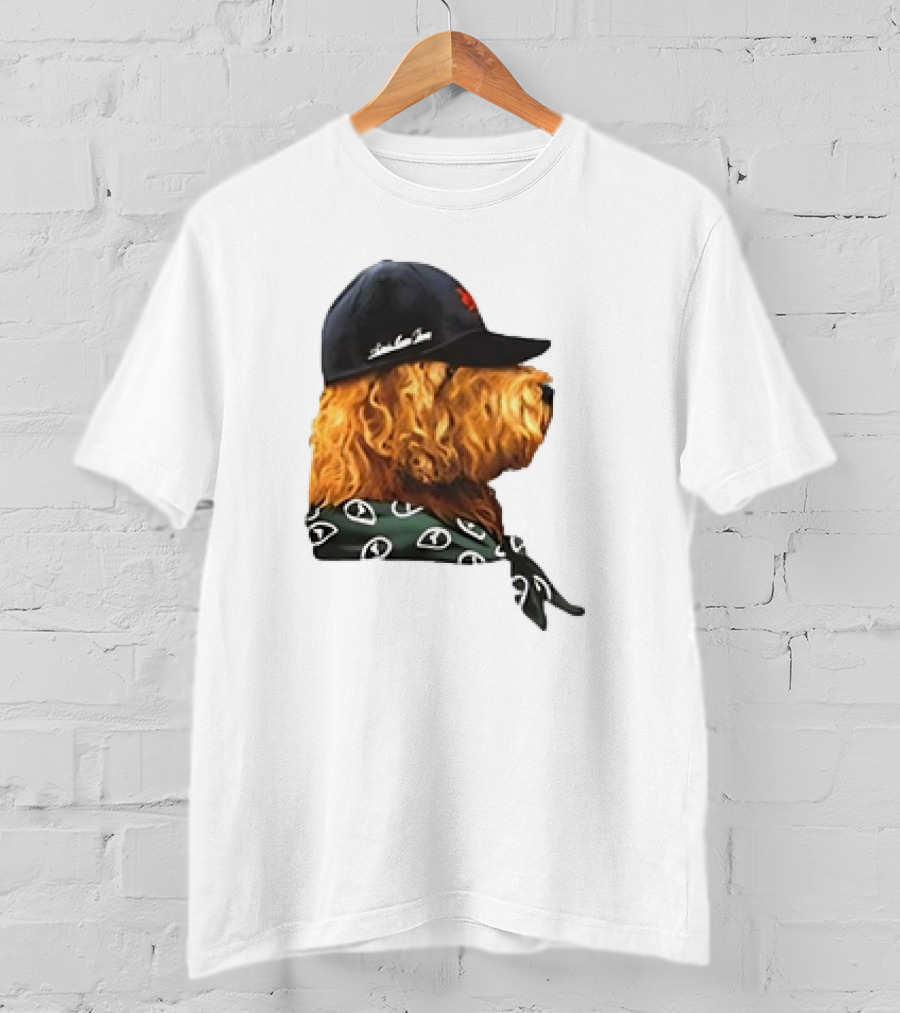 Aime Leon Dore Buddy Dog Wearing Cap And Scarf T-Shirt