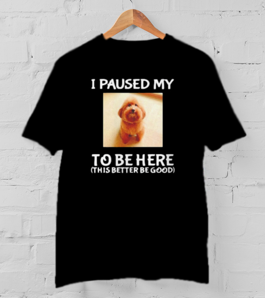 I Paused My Dog To Be Here This Better Be Good T-Shirt