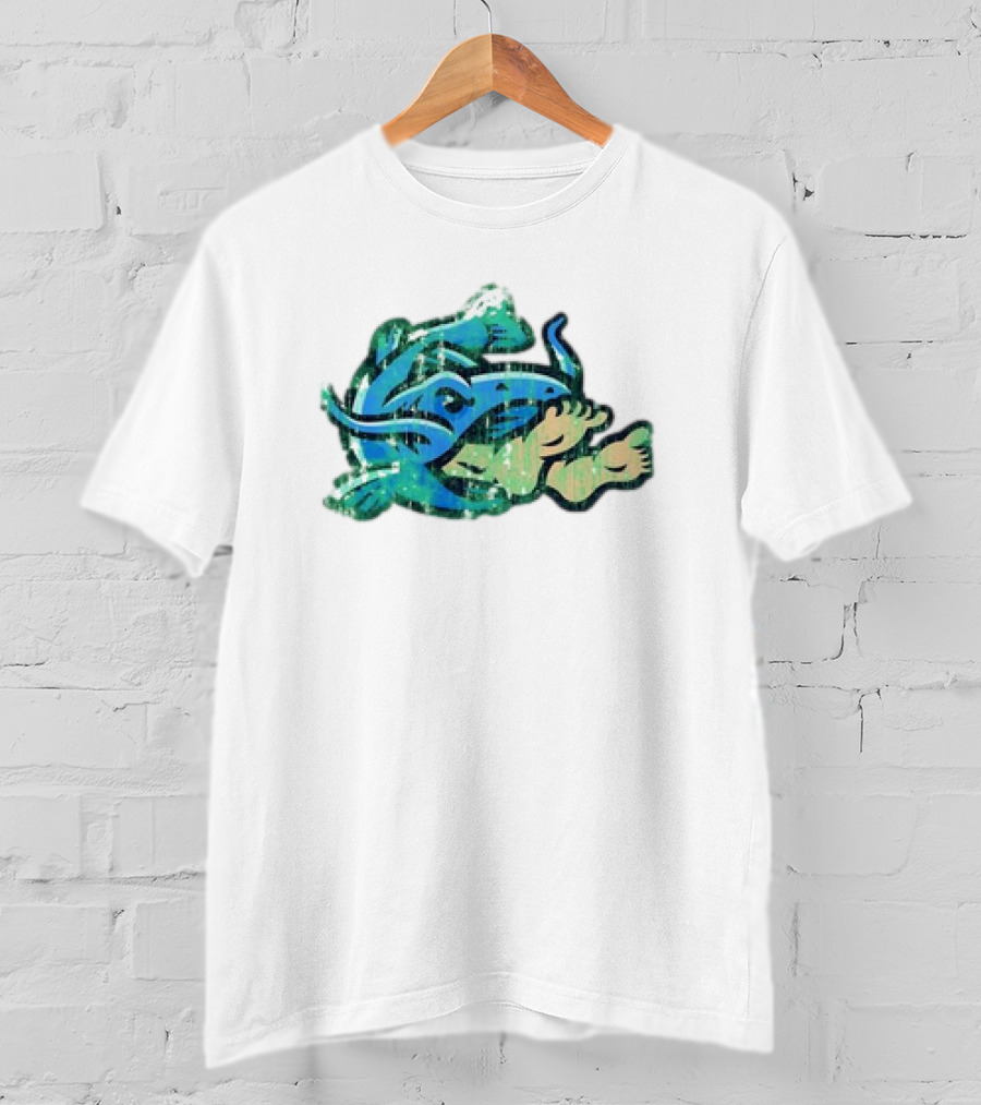 Noodlers Distressed Swimming Meme T-Shirt