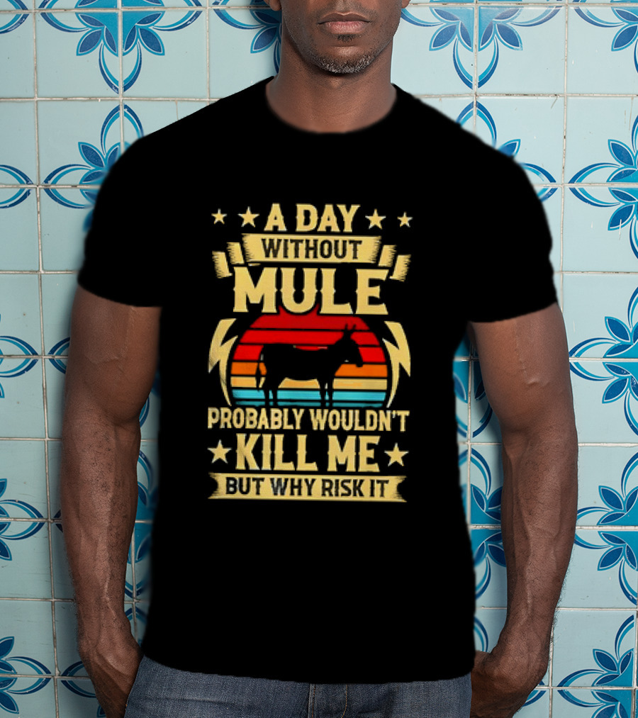 A Day Without Mule Probably Wouldn't Kill Me But Why Risk It Vintage Sunset T-Shirt