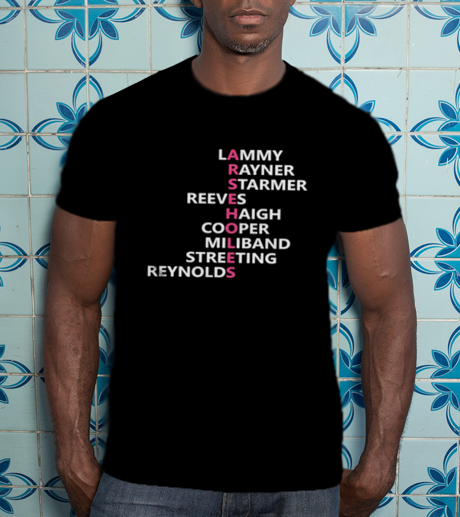 ARSEHOLES Lammy Rayner Starmer Reeves Haigh Cooper Miliband Streeting Reynolds T-Shirt