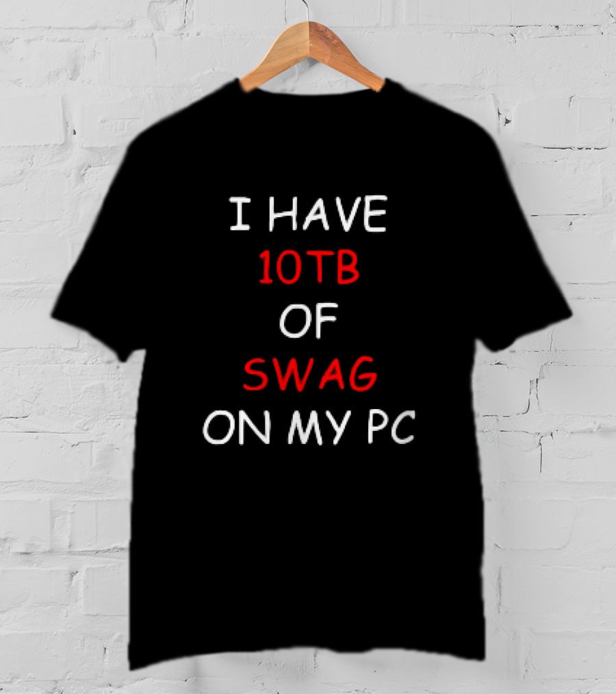 I Have 10TB Of Swag On My PC T-Shirt