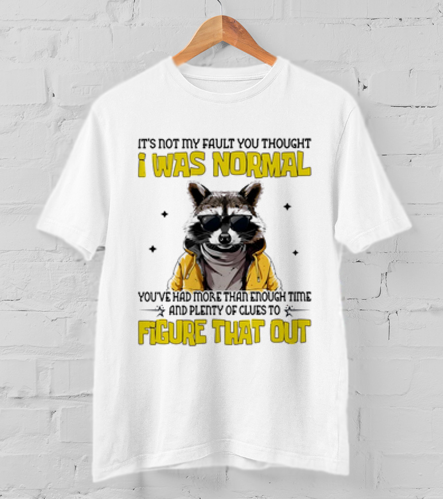 Raccoon It's Not My Fault You Thought I Was Normal You've Had More Than Enough Time And Plenty Of Clues To Figure That Out T-Shirt