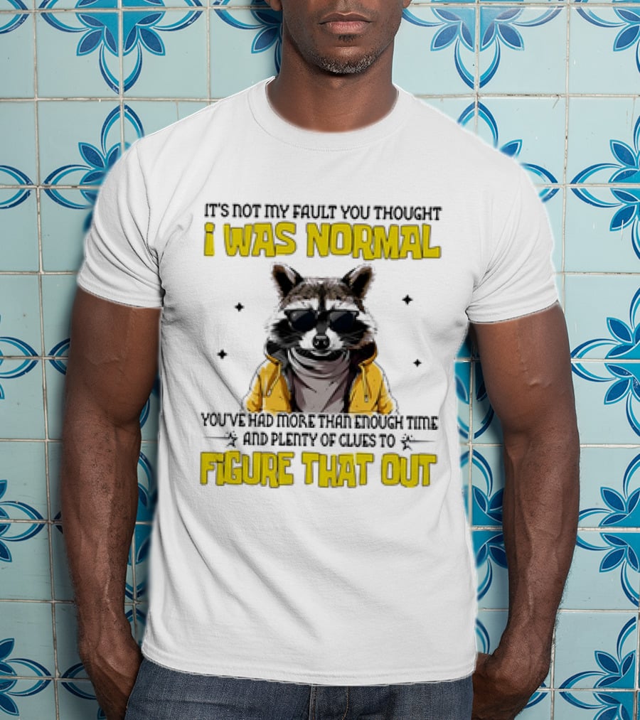 Raccoon It's Not My Fault You Thought I Was Normal You've Had More Than Enough Time And Plenty Of Clues To Figure That Out T-Shirt
